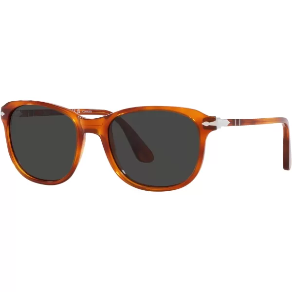 Persol Po1935s Square SunglassesTerra Di SienaPolarized Black