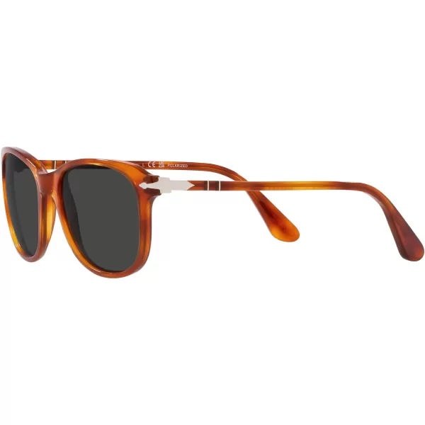 Persol Po1935s Square SunglassesTerra Di SienaPolarized Black