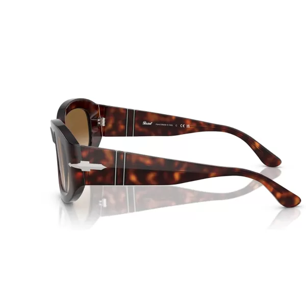 Persol Po3335s Square SunglassesHavana