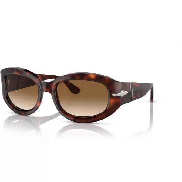 Persol Po3335s Square SunglassesHavana