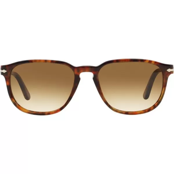 Persol PO3019S Square SunglassesCaffeBrown Gradient