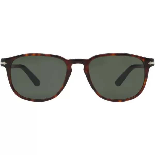 Persol PO3019S Square SunglassesHavanaGreen