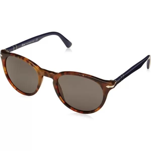 Persol PO3152S Round SunglassesDark HavanaDark Grey