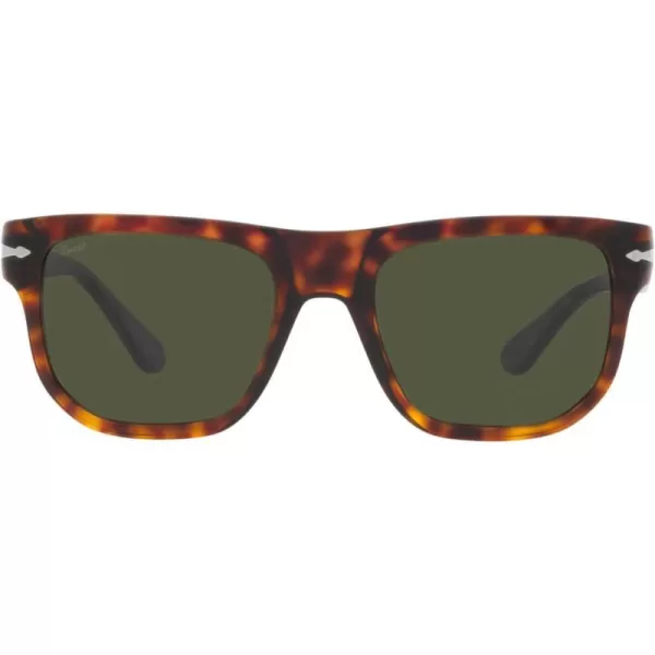 Persol PO3306S Square SunglassesHavanaGreen