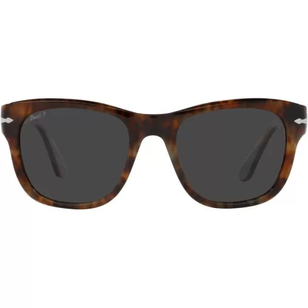 Persol Po3313s Square SunglassesCaffePolarized Black