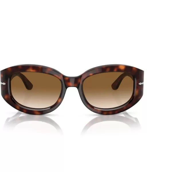 Persol Po3335s Square SunglassesHavana