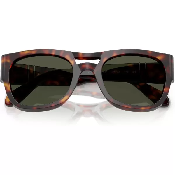 imagePersol Po0064s Square SunglassesHavanaGreen