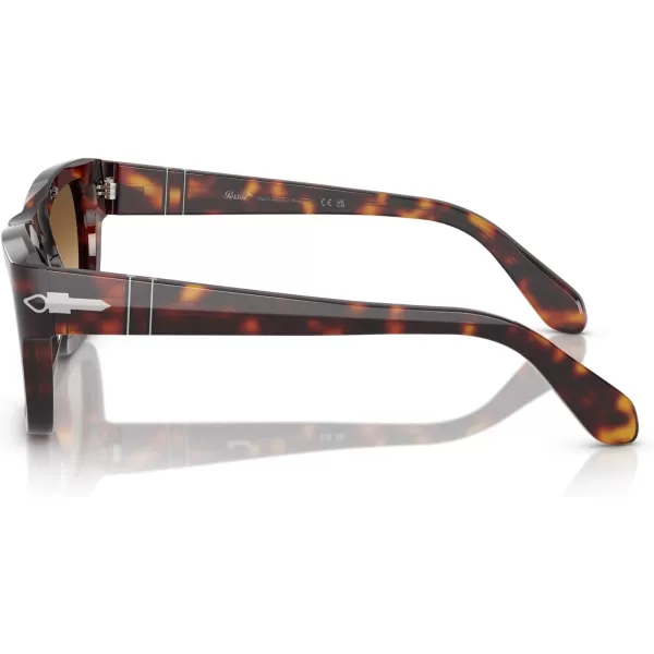 imagePersol Po0091s Butterfly SunglassesHavanaClear Gradient Brown