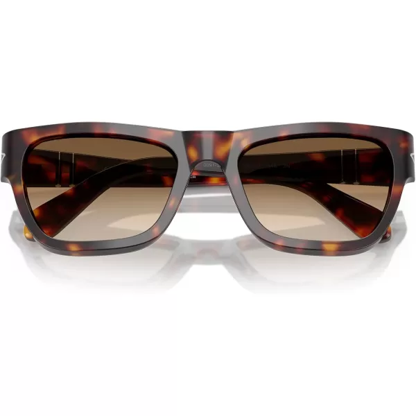 imagePersol Po0091s Butterfly SunglassesHavanaClear Gradient Brown