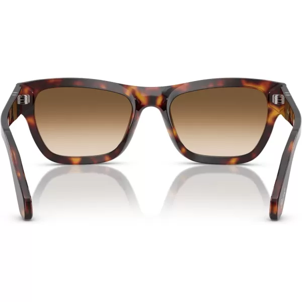 imagePersol Po0091s Butterfly SunglassesHavanaClear Gradient Brown