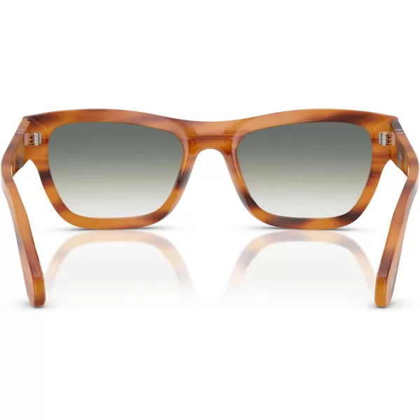 imagePersol Po0091s Butterfly SunglassesStriped BrownClear Gradient Green