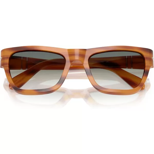 imagePersol Po0091s Butterfly SunglassesStriped BrownClear Gradient Green