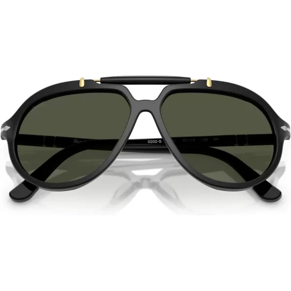 imagePersol Po0202s Square SunglassesBlackGreen