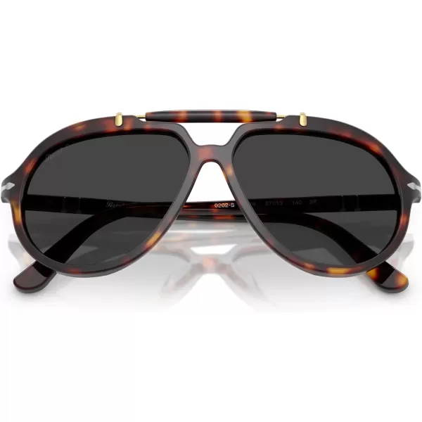 imagePersol Po0202s Square SunglassesHavanaPolarized Black