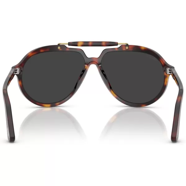 imagePersol Po0202s Square SunglassesHavanaPolarized Black