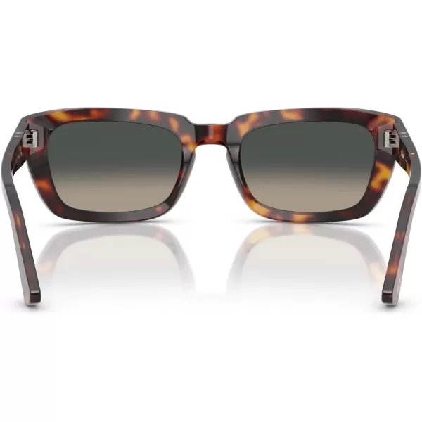 imagePersol Po3367s Square SunglassesHavanaLight Grey Gradient Dark Grey