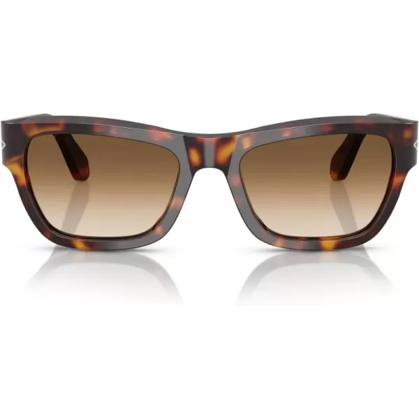 imagePersol Po0091s Butterfly SunglassesHavanaClear Gradient Brown