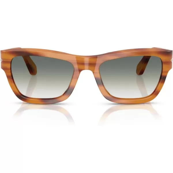 imagePersol Po0091s Butterfly SunglassesStriped BrownClear Gradient Green