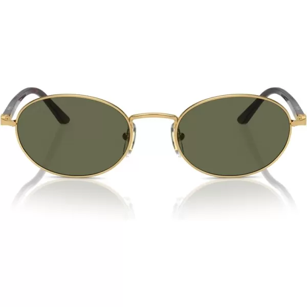 imagePersol Po1018s Ida Oval SunglassesGoldPolarized Green