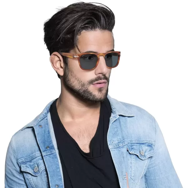imagePersol Mens Po3333s Elio Square SunglassesTerra Di Siena