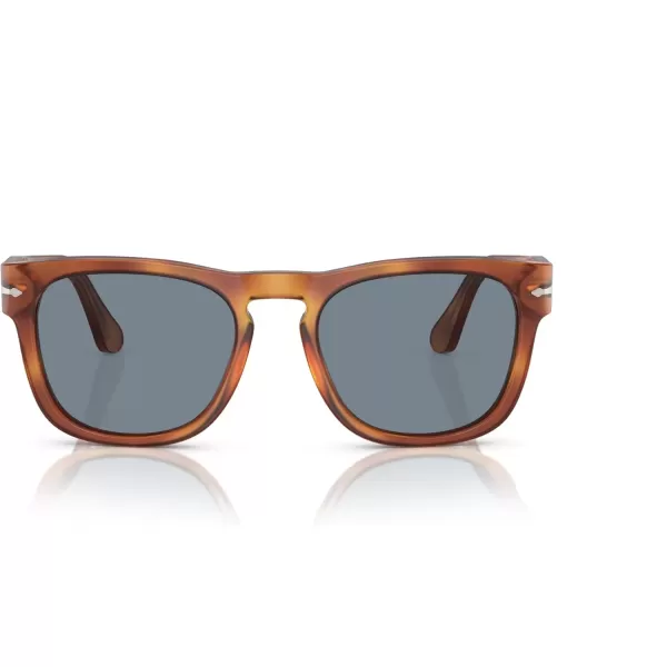 imagePersol Mens Po3333s Elio Square SunglassesTerra Di Siena