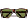 imagePersol PO0009 Square Sunglasses HavanaGreen 57 mm