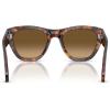 imagePersol Po0054s Square SunglassesHavanaBrown Gradient Brown Polarized
