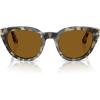 Brown Tortoise/Brown