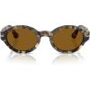Brown Tortoise/Brown