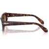 imagePersol Womens Po0052s Butterfly SunglassesHavanaClear Gradient Brown