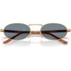 imagePersol Po1023s SunglassesGoldBlue