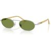 imagePersol Po1023s SunglassesSilverGreen