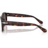 imagePersol Womens Po3386s SunglassesHavanaDark Grey