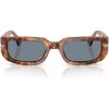 Brown Tortoise/Light Blue