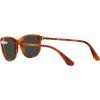 imagePersol Unisex Po1935s Square SunglassesTerra Di SienaPolarized Black