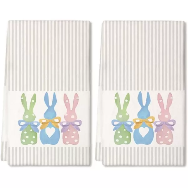 Colorful Two Bunny Country Rustic Rabbit 2