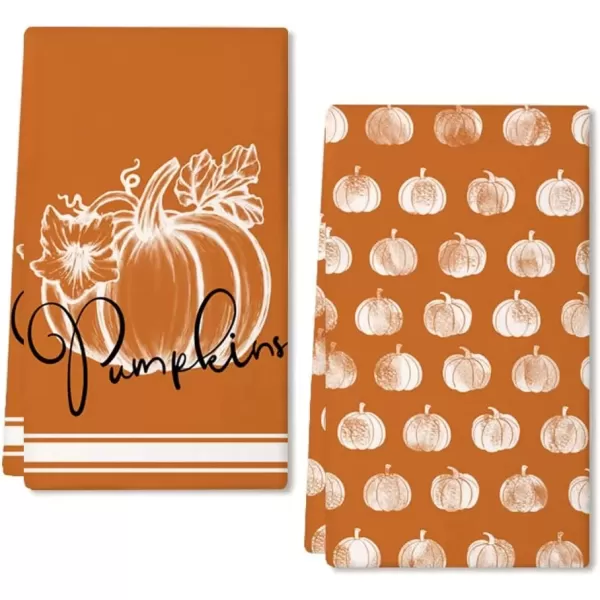 imageARKENY Fall Kitchen Towels for Fall DecorWhite Pumpkin Autumn Dish Towels 18x26 Inch Set of 2Farmhouse Home Thanksgiving Harvest Vintage Decorations AD349