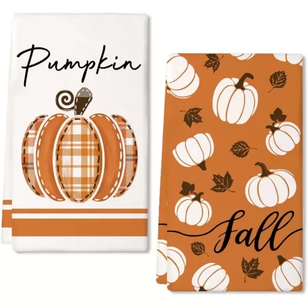 imageARKENY Fall Kitchen Towels for Fall DecorWhite Pumpkin Autumn Dish Towels 18x26 Inch Set of 2Farmhouse Home Thanksgiving Harvest Vintage Decorations AD341