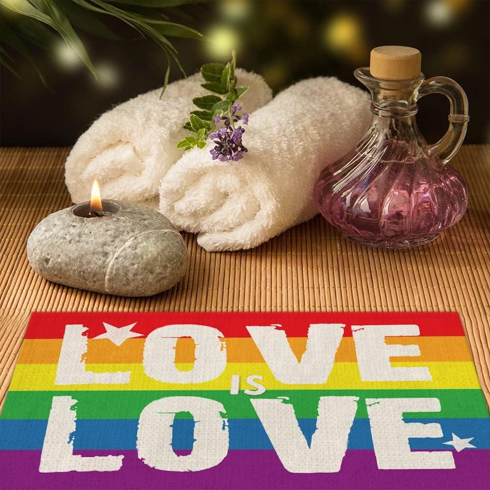 imageLGBTQ Pride Decorations Rainbow Stripes Placemats 12 x 18 Inch Set of 4 Gay Lesbian Pansexual Party Decor Rustic Vintage Washable Table Mats AP152