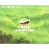 imageGreen Mountain Coffee Roasters ICED Hazelnut Cream Single Serve Keurig KCup Pods Flavored Iced Coffee 96 CountFrench Roast