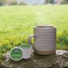 imageGreen Mountain Coffee Roasters ICED Hazelnut Cream Single Serve Keurig KCup Pods Flavored Iced Coffee 96 CountHazelnut