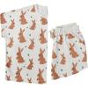 Brown Bunnies