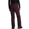 imageOutdoor Research Womens Snowcrew PantsAmethyst