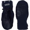 imageOutdoor Research Team GoreTex MittsBlack