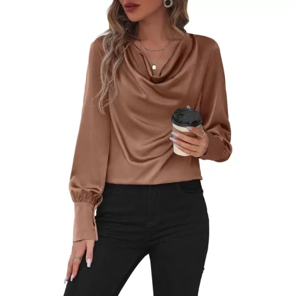 Floerns Women's Elegant Cowl Neck Long Sleeve Draped Collar Office Shirt Blouse