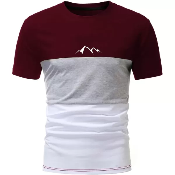 Floerns Men's Letter Print Short Sleeve Colorblock Crewneck Casual Tee Shirt