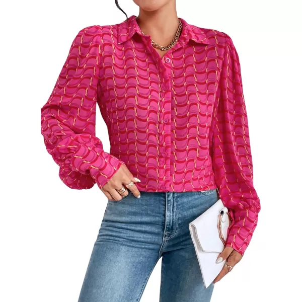 Floerns Women's Sheer Drop Shoulder Blouse Long Sleeve Collar Button Loose Shirts Tops