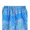 imageFloerns Boys 2 Pcs Boho Paisley Print Drawstring Waist Summer Beach Shorts with PocketsBlack and Blue