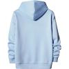 imageFloerns Mens Graphic Print Long Sleeve Drawstring Hoodie Pullover SweatshirtLight Blue Letter