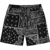 Black Ink Paisley